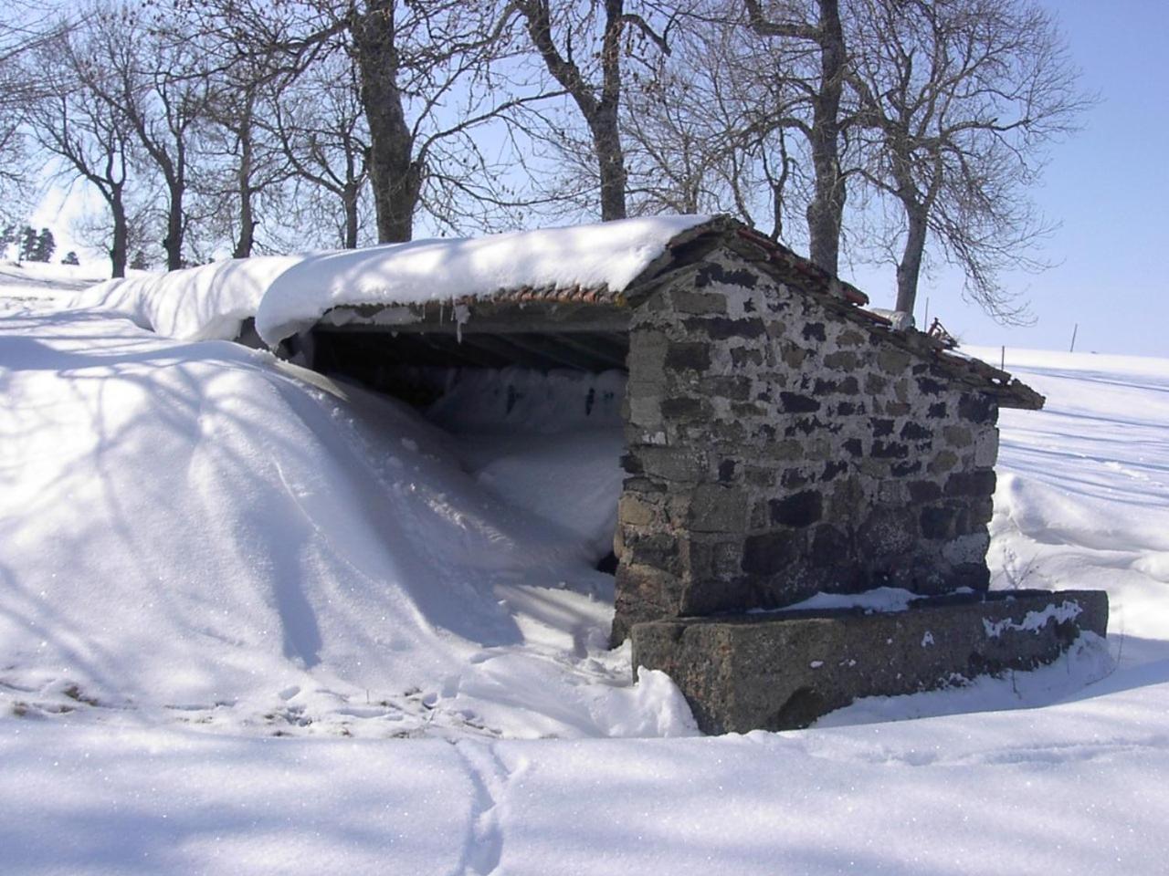 Maison De Famille Au Plateau Du Mezenc Les Vastres 外观 照片